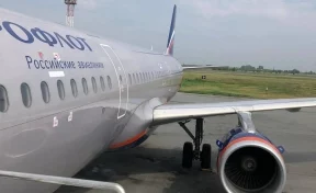 Самолёт Новокузнецк-Москва вынужденно сел в Новосибирске из-за птицы