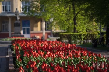 Фото: До +24 и без осадков: синоптики дали прогноз на выходные в Кузбассе 1