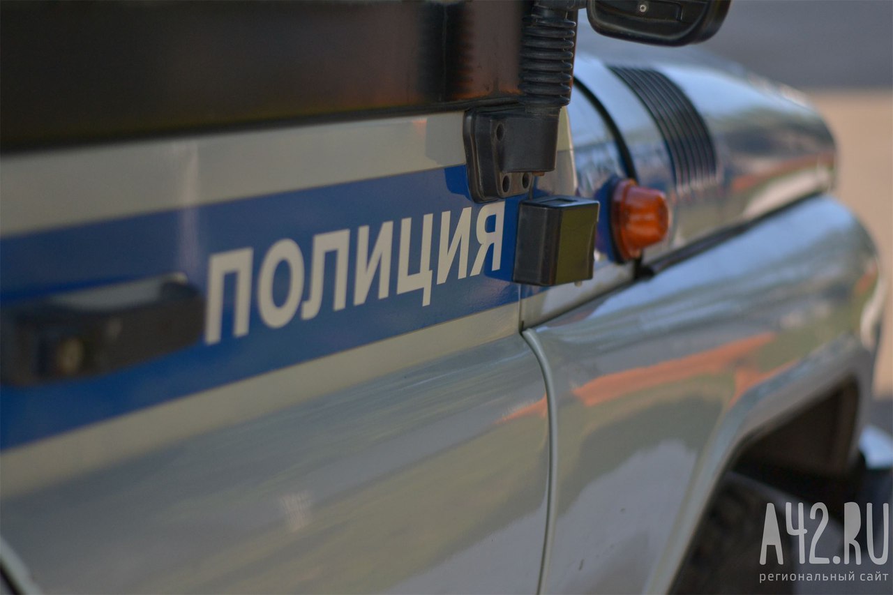 В Кузбассе 12-летний подросток сел за руль автомобиля, но съехал с дороги и попался полицейским