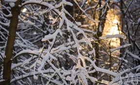 Синоптики: 22 февраля температура в Кузбассе опустится до -38