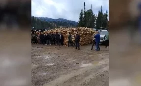 В Кузбассе на золотодобывающем предприятии нашли 41 работника-нелегала