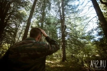 Фото: Кузбассовцам напомнили о правилах безопасности при посещении леса 1