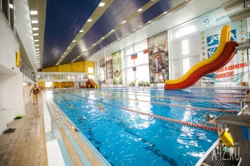 Фото: Россиянам разрешили плавать в бассейне без справок 1