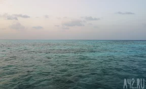 В Средиземном море безэкипажные катера атаковали российский газовоз 