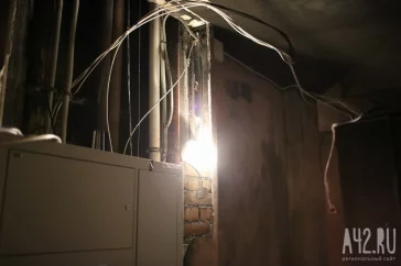 Фото: Вонь-атака и люди-свиньи: чем были возмущены кемеровчане в 2017 году 2