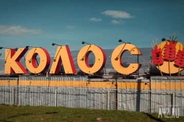 Фото: В Кемерове популярный рынок выставили на продажу за 300 млн рублей 1