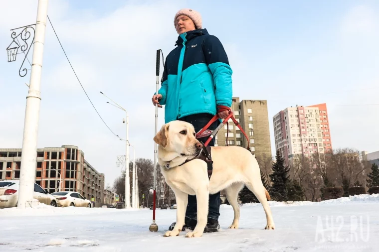 Фото: Глаза человека. Мы прошли по Кемерову с незрячей студенткой и собакой-поводырём 6