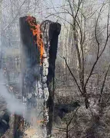 Фото: <a href=https://t.me/ilya_suhih>Илья Сухих</a>/ Telegram