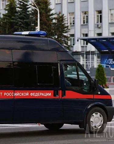 Бастрыкин потребовал доклад об избиении девочки в детском доме в Кемерове
