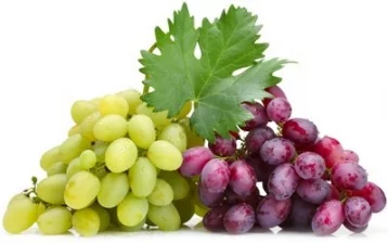 Фото: Эксперт рассказал, в каких сортах винограда «безумное количество сахара» 1