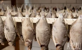 В Кузбассе продавцов рыбы и морепродуктов оштрафовали на 1,5 миллиона рублей за нарушения