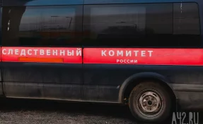 СК возбудил дело после грубого обращения с воспитанником детского дома в Кемерове