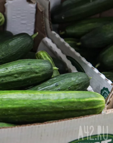 Цены на свежие огурцы в Кузбассе выросли на 36% за месяц