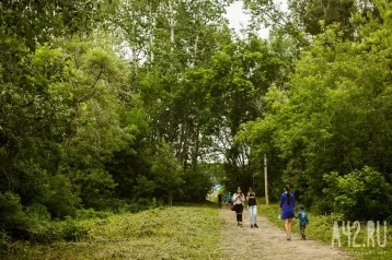 Фото: В Санкт-Петербурге 13-летний мальчик в лесополосе изнасиловал сверстника  1