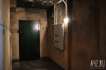 Фото: Вонь-атака и люди-свиньи: чем были возмущены кемеровчане в 2017 году 3