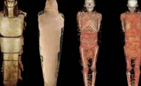 Учёные обнародовали результаты исследования загадочной древнеегипетской мумии