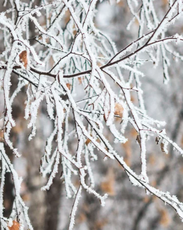 Мороз до -28 градусов ожидается в Кузбассе 11 января