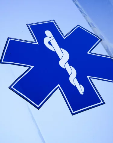 В Бразилии 19-летний посетитель зоопарка залез в вольер к львице и погиб