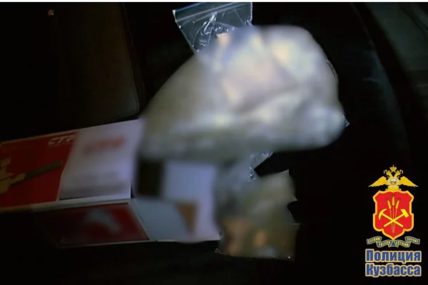 В Кузбассе суд вынес приговор наркоторговцу, который 9 лет находился в федеральном розыске