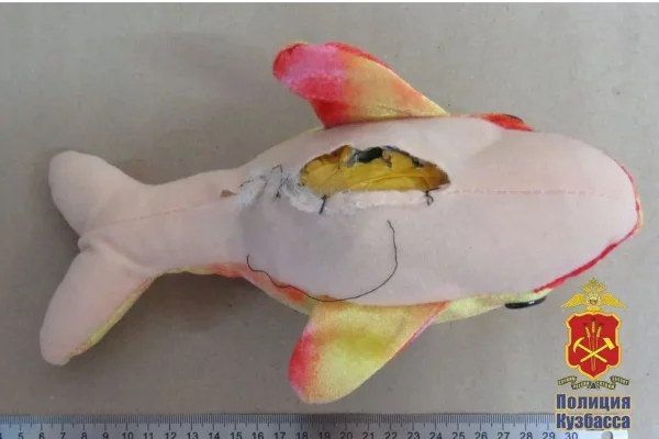 В Кузбассе наркоторговка прятала дозы в розовом дельфине