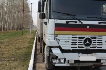 Фото: В Кузбассе водитель насмерть сбил человека и уехал, перепутав его с животным 1