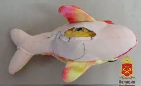 В Кузбассе наркоторговка прятала дозы в розовом дельфине