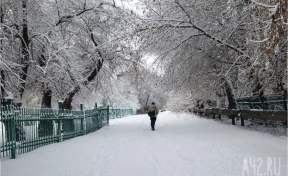 Синоптики: Кузбасс на выходных ждут перепады температуры от 0 до -26