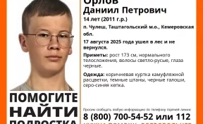 Кузбасские волонтёры опубликовали ориентировку на пропавшего в тайге подростка
