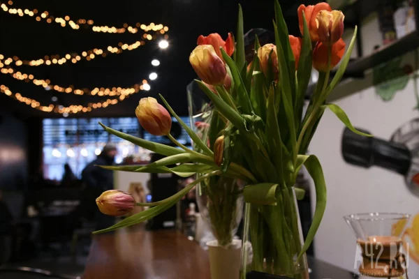 42 года и с детьми: Кемеровостат составил портрет работающей жительницы Кузбасса