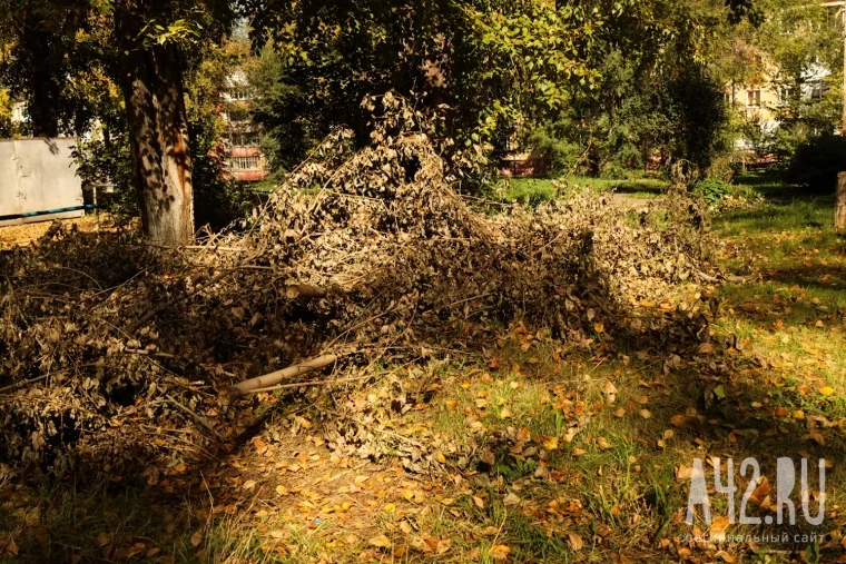 Фото: То ли ремонтировать, то ли демонтировать: почему в Кемерове исчезают детские площадки и кто должен их восстанавливать 11