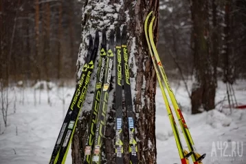 Фото: Заявки на Югорский лыжный марафон подали более 1000 лыжников 1