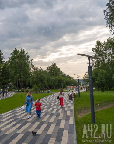 Повредил дерево — плати: депутаты установили новые штрафы для кузбассовцев