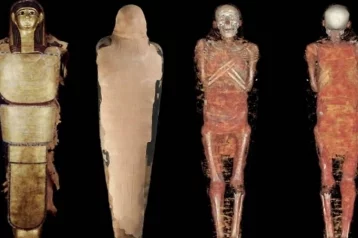 Фото: Учёные обнародовали результаты исследования загадочной древнеегипетской мумии 1