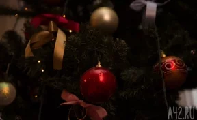 В Геленджике пьяная женщина залезла на двадцатиметровую новогоднюю ёлку