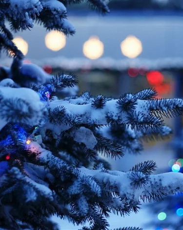 В Кузбассе названы даты зимних каникул для школьников 