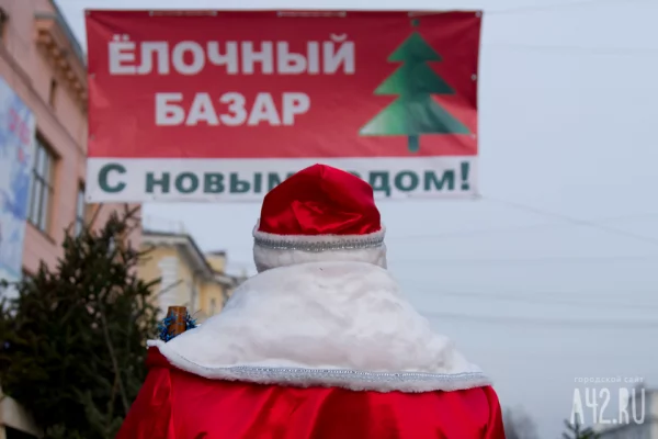 В Кузбассе начали открывать ёлочные базары: подготовлено 176 площадок