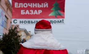 В Кузбассе начали открывать ёлочные базары: подготовлено 176 площадок