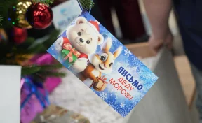 В торговых центрах Кемерова не осталось открыток-писем Деду Морозу