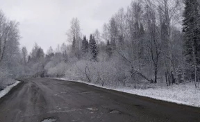 В Кузбассе снова выпал снег
