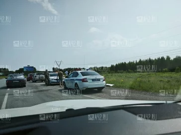 Фото: Под Новосибирском столкнулись иномарка и микроавтобус: есть погибшие 2