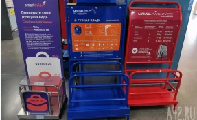 В аэропорту Внуково изъяли зауженные калибраторы для ручной клади