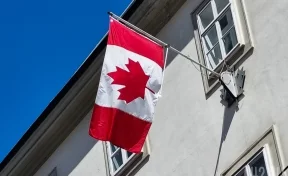 Жителя Канады обвинили в том, что он насмерть сбил семилетнюю беженку из Украины