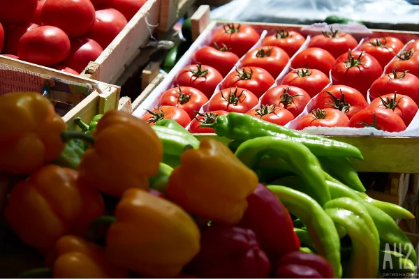 Казахстан, Беларусь и Франция: в Россельхознадзоре рассказали, откуда в Кузбасс ввозят продукты