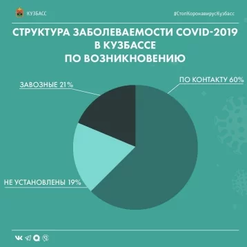 Фото: Стало известно, как заразились коронавирусом жители Кузбасса 1