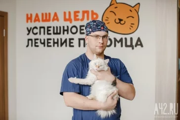 Фото: Центр «Успех» — ветеринария нового формата в Кемерове 7