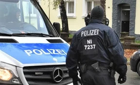 В Германии осы помогли задержать сбежавшего преступника
