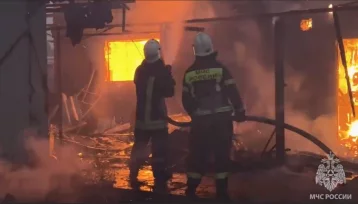 Фото: В ЛНР при пожаре на дачах пострадали 11 человек, повреждено около 100 строений 1