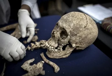 Фото: На Филиппинах найдены останки неизвестного науке вида человека 1