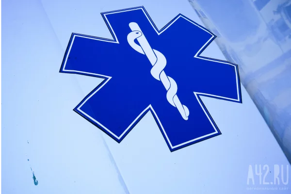 В Мексике львы набросились на мужчину, выпустившего их из клеток