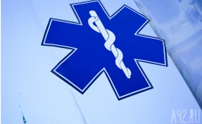 В Мексике львы набросились на мужчину, выпустившего их из клеток